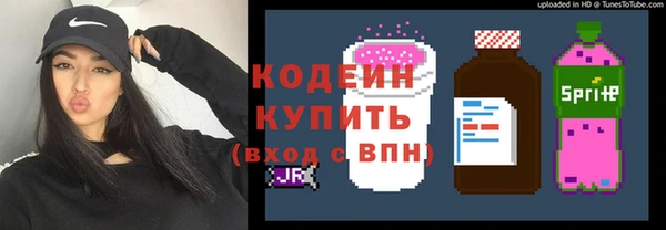 сатива Анжеро-Судженск