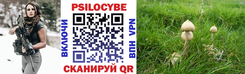 Псилоцибиновые грибы Psilocybe что такое наркотик кракен сайт Абакан
