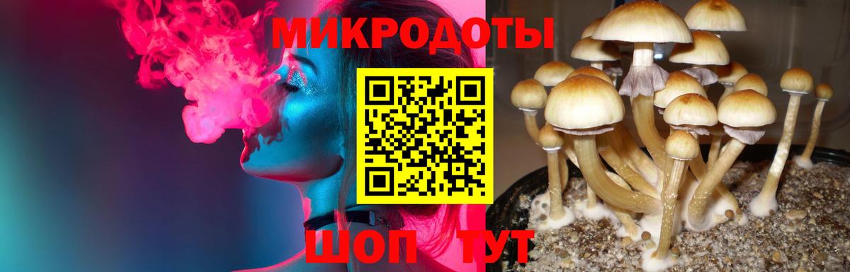 Абакан  Псилоцибиновые грибы Magic Shrooms  Вход с VPN 
